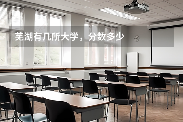 芜湖有几所大学，分数多少
