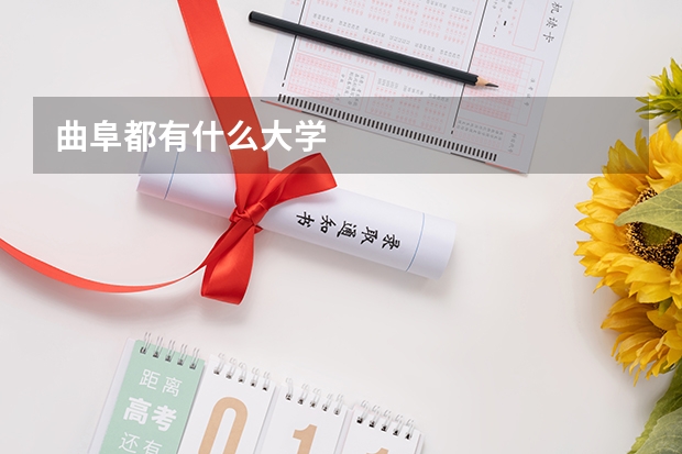 曲阜都有什么大学