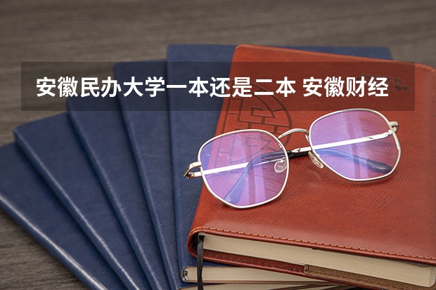 安徽民办大学一本还是二本 安徽财经大学商学院是几本