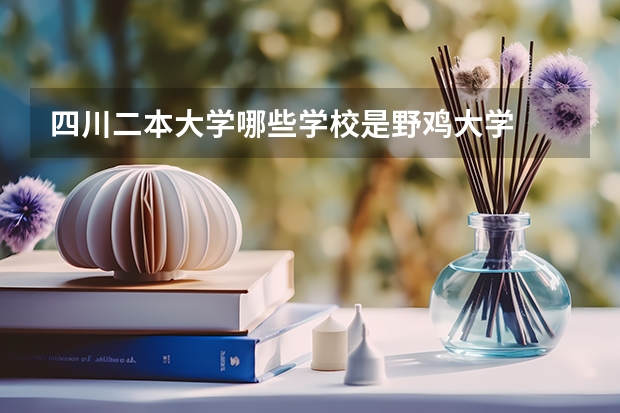 四川二本大学哪些学校是野鸡大学