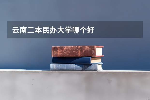 云南二本民办大学哪个好