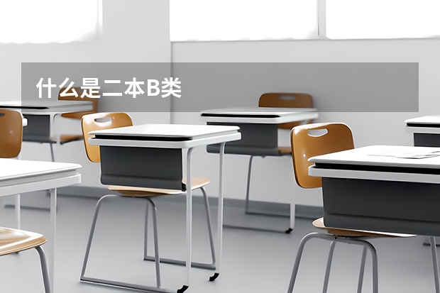 什么是二本B类