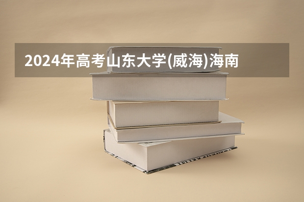 2024年高考山东大学(威海)海南招生计划 招生人数