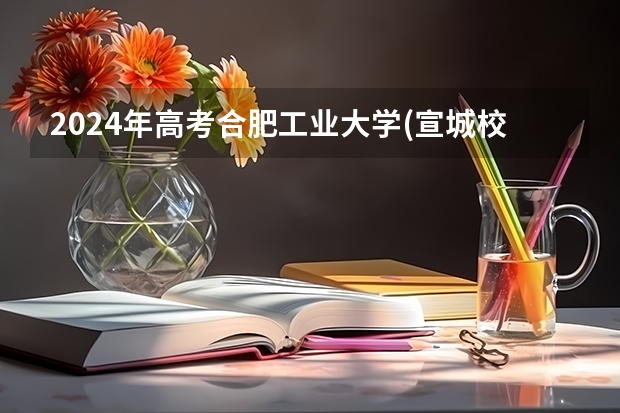 2024年高考合肥工业大学(宣城校区)海南招生计划 招生人数