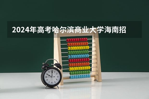 2024年高考哈尔滨商业大学海南招生计划 招生人数