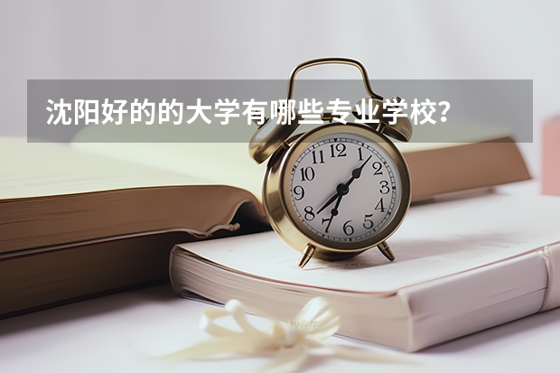 沈阳好的的大学有哪些专业学校？