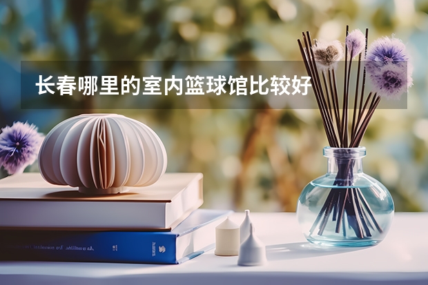 长春哪里的室内篮球馆比较好