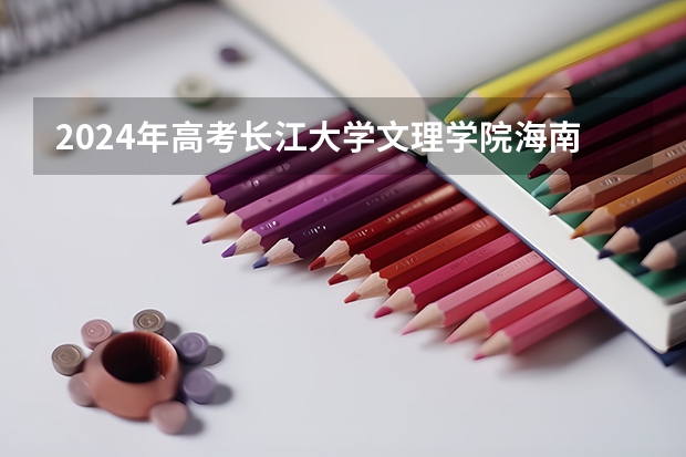 2024年高考长江大学文理学院海南招生计划 招生人数