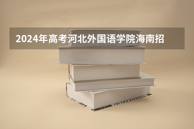 2024年高考河北外国语学院海南招生计划 招生人数