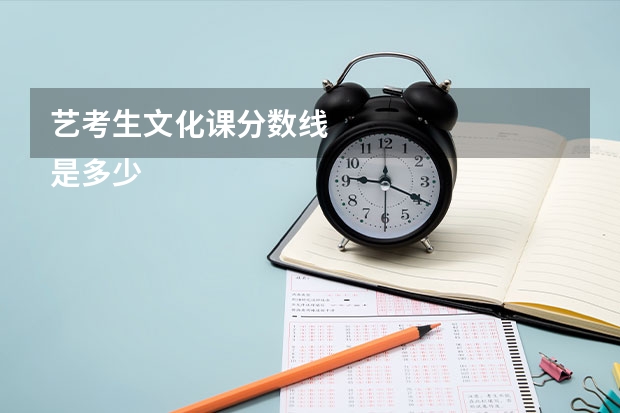 艺考生文化课分数线
是多少
