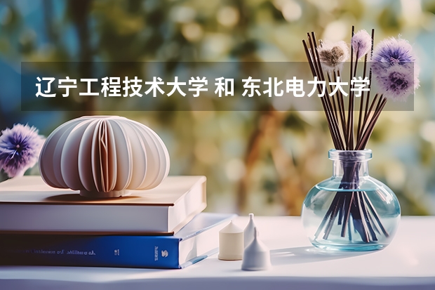 辽宁工程技术大学 和 东北电力大学 电气工程及其自动化专业 哪个好？