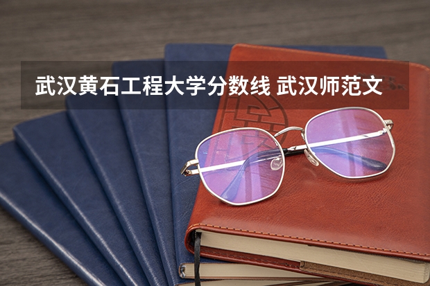 武汉黄石工程大学分数线 武汉师范文理学院分数线