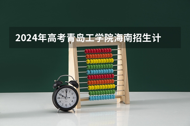 2024年高考青岛工学院海南招生计划 招生人数