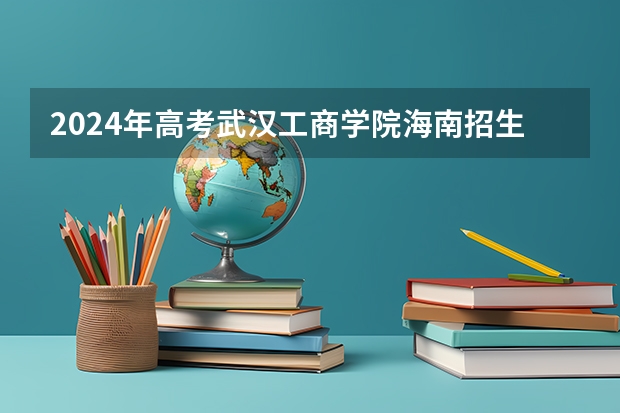 2024年高考武汉工商学院海南招生计划 招生人数