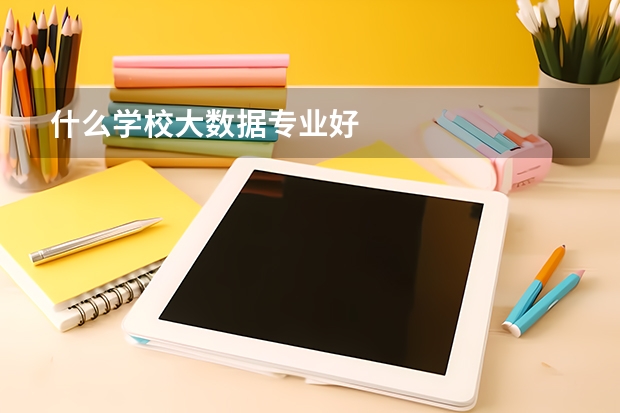 什么学校大数据专业好