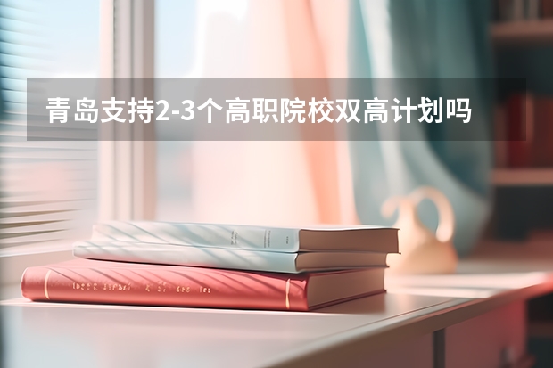 青岛支持2-3个高职院校双高计划吗十四五计划