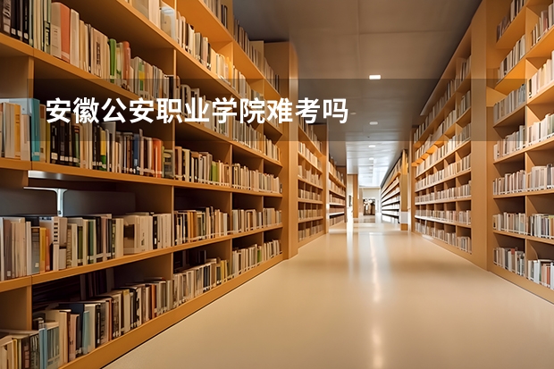安徽公安职业学院难考吗