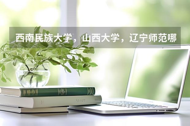 西南民族大学，山西大学，辽宁师范哪个考研好考？