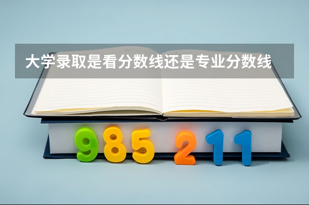大学录取是看分数线还是专业分数线 大连医科大学护理专业录取分数线