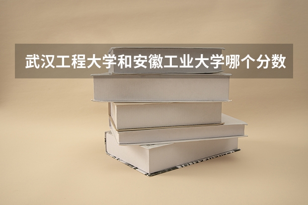 武汉工程大学和安徽工业大学哪个分数线高
