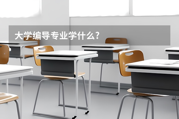 大学编导专业学什么?