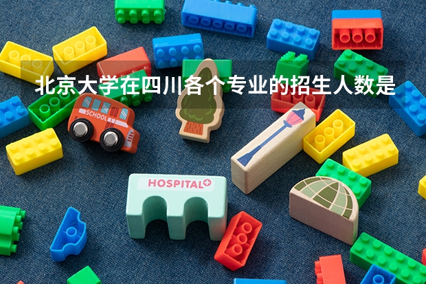 北京大学在四川各个专业的招生人数是多少