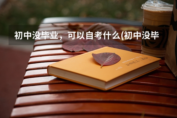 初中没毕业,可以自考什么(初中没毕业可以参加自考..成人高考或者网络教育吗?)?
