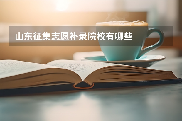 山东征集志愿补录院校有哪些