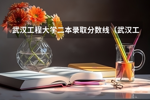 武汉工程大学二本录取分数线（武汉工程大学专科分数线）