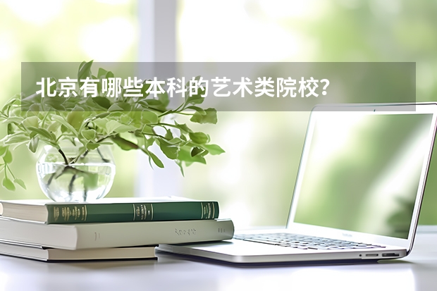 北京有哪些本科的艺术类院校？