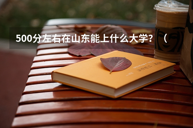 500分左右在山东能上什么大学？（文科)