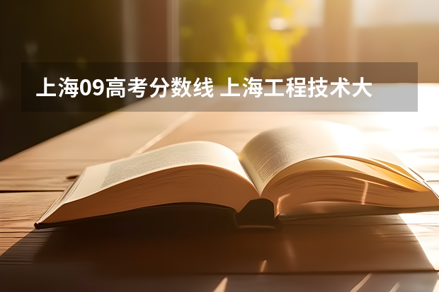 上海09高考分数线 上海工程技术大学2023分数线