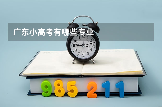 广东小高考有哪些专业