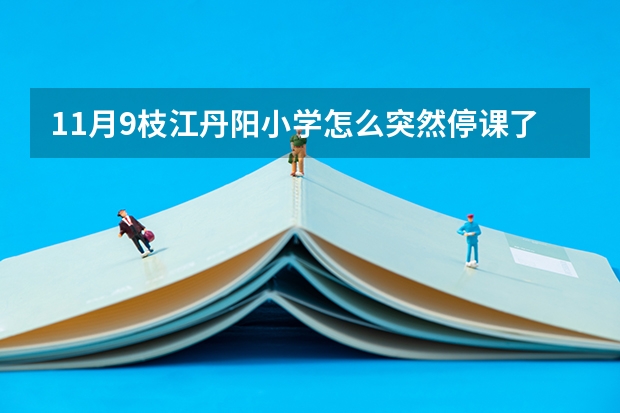 11月9枝江丹阳小学怎么突然停课了