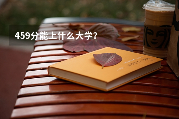459分能上什么大学?