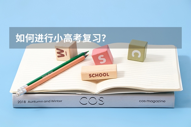 如何进行小高考复习?