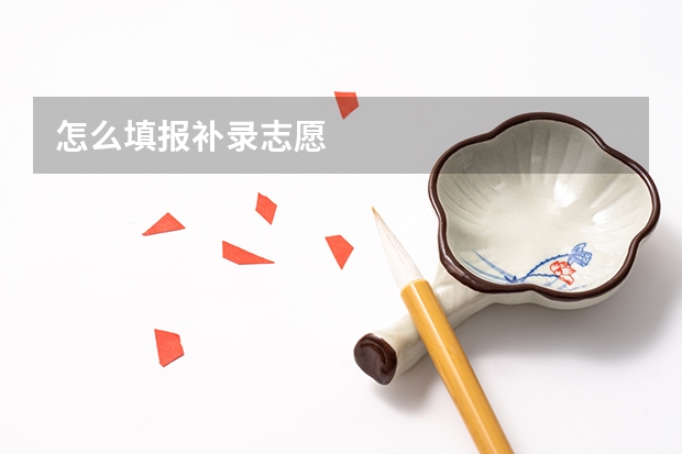怎么填报补录志愿