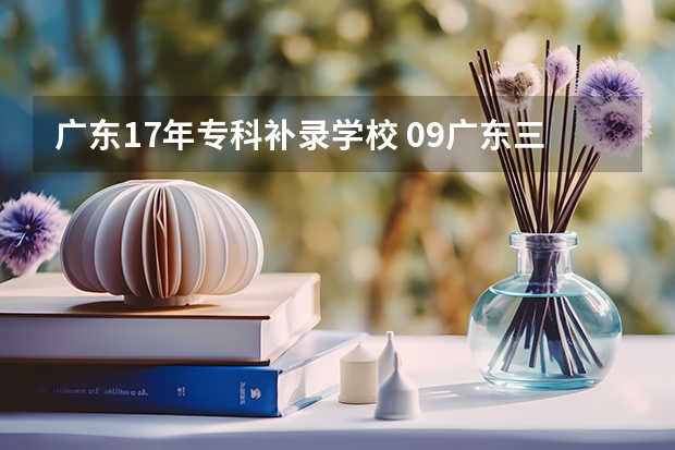 广东17年专科补录学校 09广东三A补录院校名单