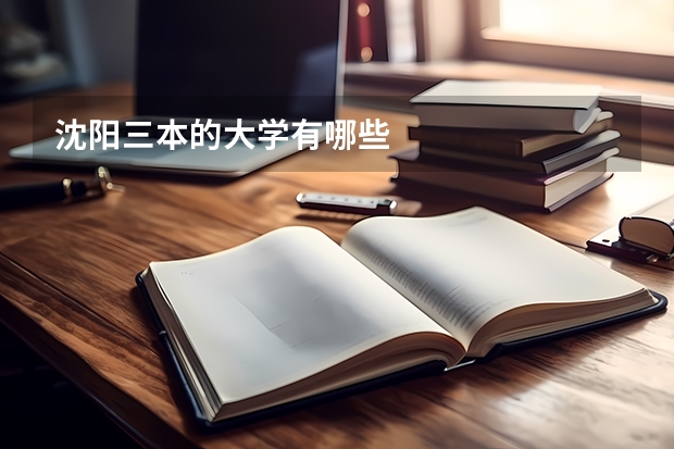 沈阳三本的大学有哪些