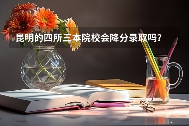 昆明的四所三本院校会降分录取吗？