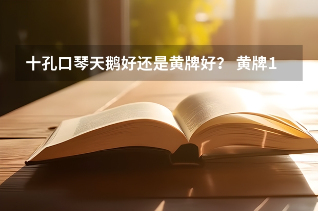 十孔口琴天鹅好还是黄牌好？ 黄牌102口琴压音问题