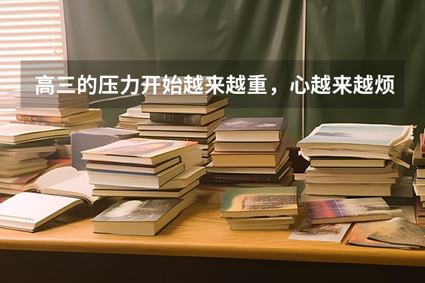 高三的压力开始越来越重,心越来越烦,该静不静,该闹不闹,怎么去面对高考