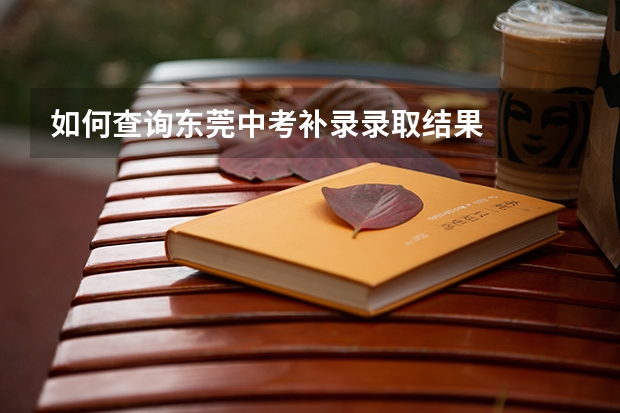 如何查询东莞中考补录录取结果