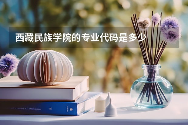 西藏民族学院的专业代码是多少