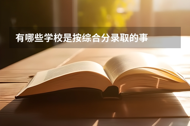 有哪些学校是按综合分录取的事