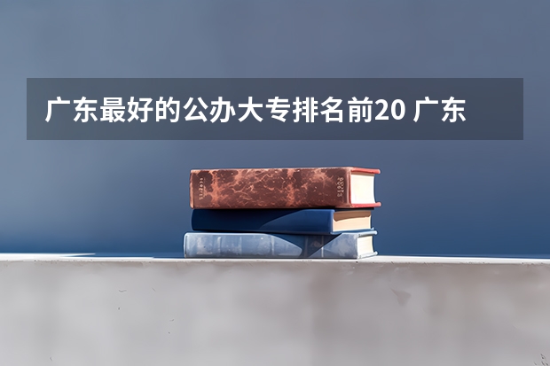 广东最好的公办大专排名前20 广东省职业技术学院排名前十