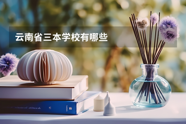 云南省三本学校有哪些