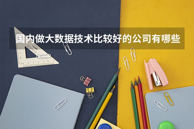国内做大数据技术比较好的公司有哪些？