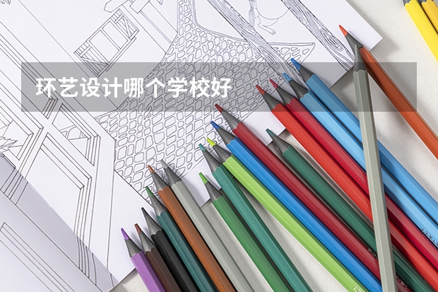 环艺设计哪个学校好