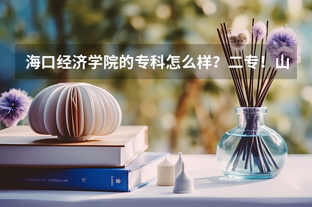 海口经济学院的专科怎么样？二专！山西考生一般多少分就能上了？希望知情者帮帮忙啊！谢啦！